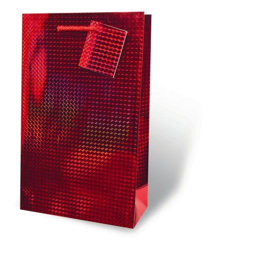 Large Foil Paper Gift Bag