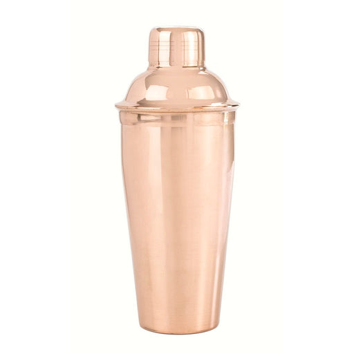 28 oz Shaker Bottle - Smooth SS with copper plating