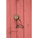 Barn Owl Wall Mount