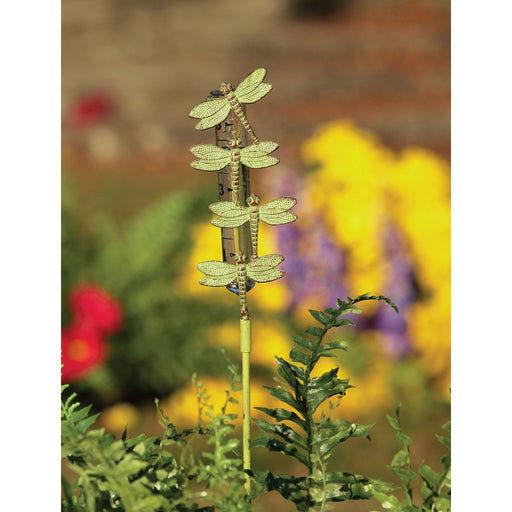 Cast Brass Staked Dragonfly Rain Gauge