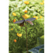 Garden Ornament Butterfly