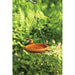 Bird Bath Spice Round Hanging