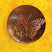 Flamed 12 inch Butterfly