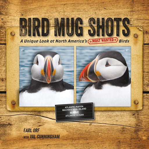 Bird Mug Shots - A Unique Look at North America's Most Wanted Birds