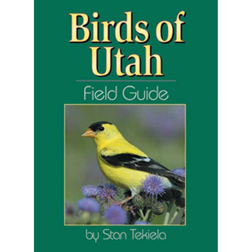 Birds Utah Field Guide