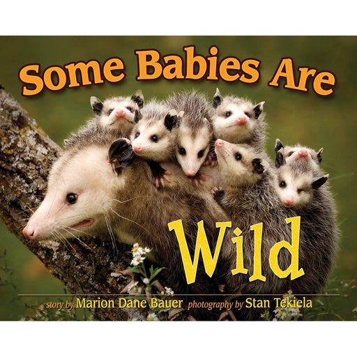 Some Babies Are Wild