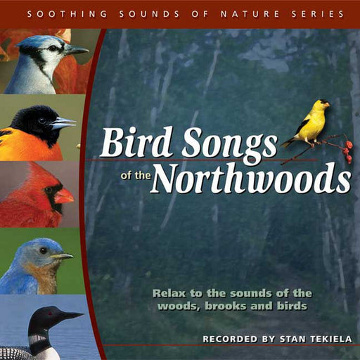 Birdsongs of Northwoods