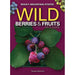 Wild Berries and Fruits of Rocky Mountains