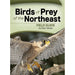 Birds of Prey of the Northeast