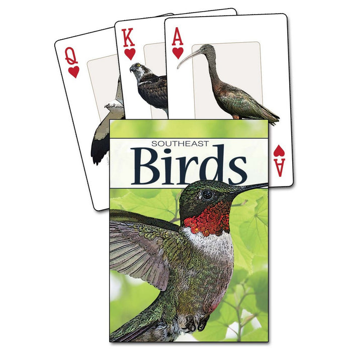 Birds of the Southeast Playing Cards