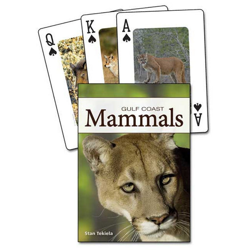 Mammals of the Gulf Coast Playing Cards