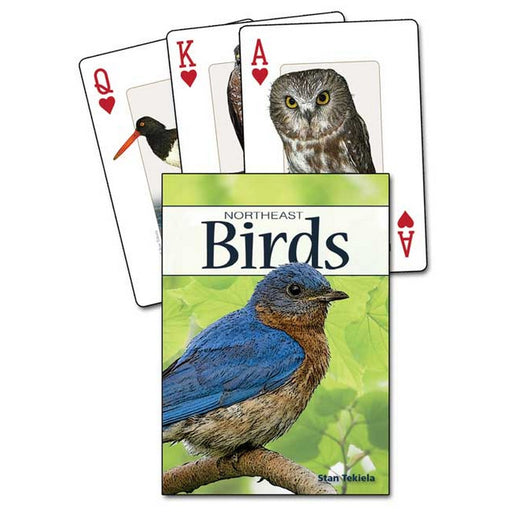 Birds of the Northeast Playing Cards