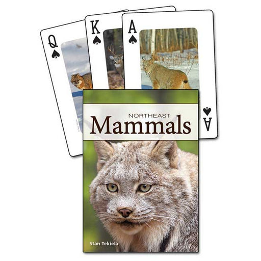 Mammals of the Northeast Playing Cards