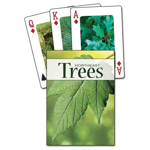 Trees of the Northeast Playing Cards