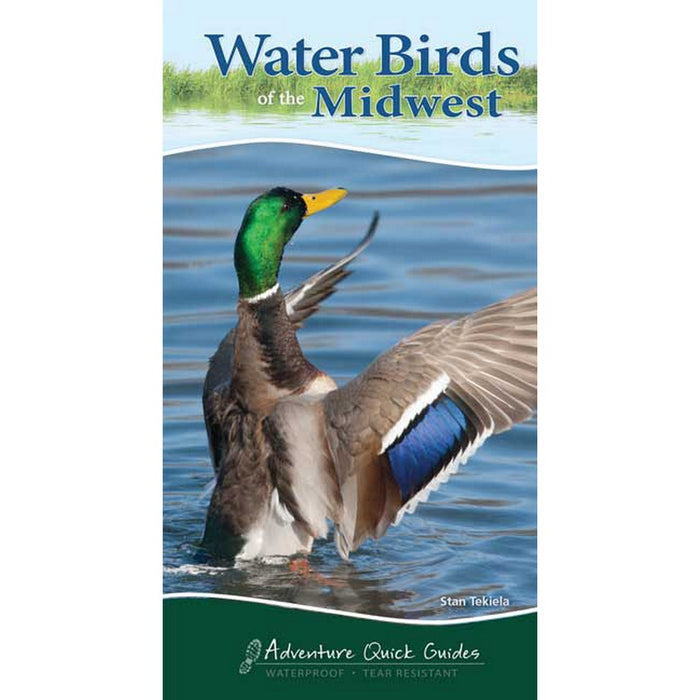 Water Birds of the Midwest (Adventure Quick Guide)