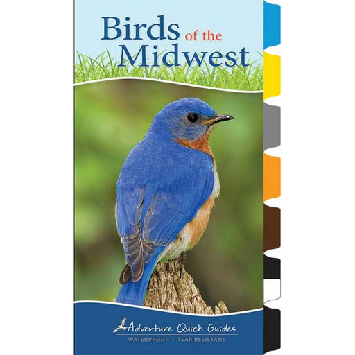 Birds of the Midwest (Adventure Quick Guide)