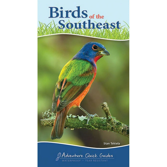 Birds of Southeast Quick Guide