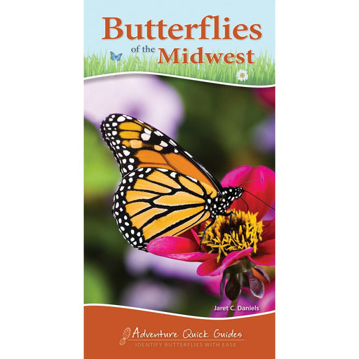 Butterflies of Midwest Quick Guide