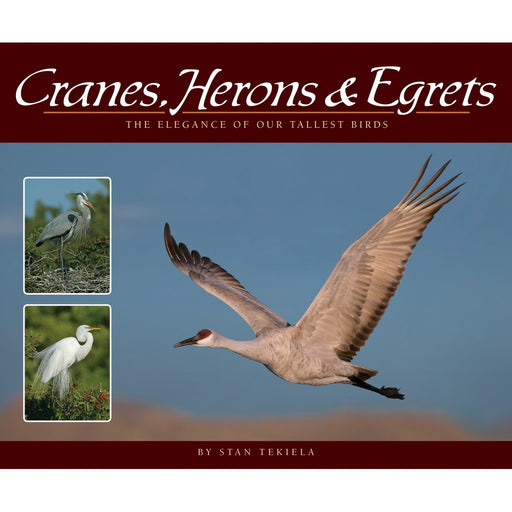 Cranes, Herons & Egrets