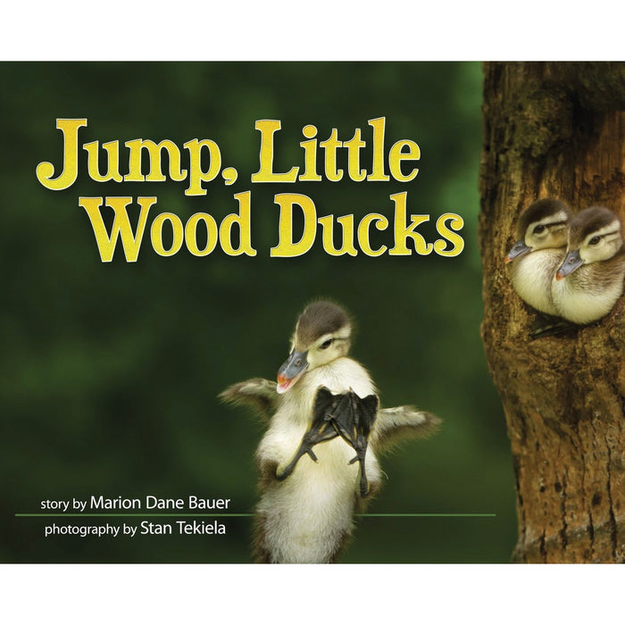 Jump, Little Wood Ducks