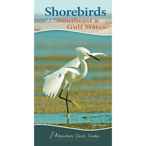 Shorebirds of the Southeast & Gulf States