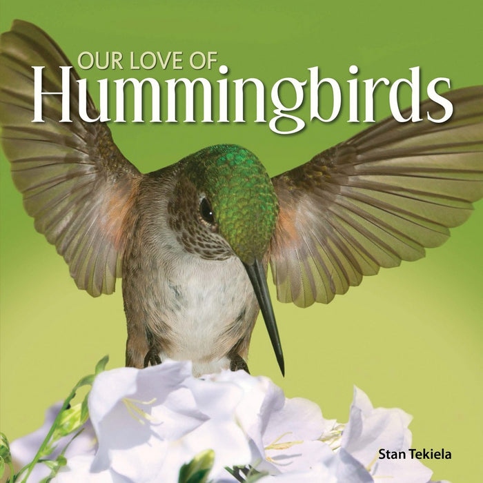 Our Love of Hummingbirds