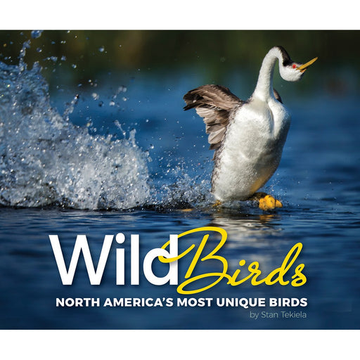 Wild Birds North America's Most Unique Birds