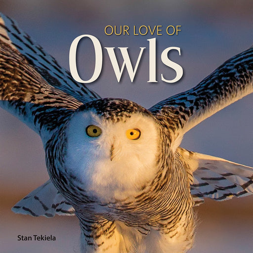 Our Love of Owls