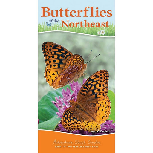 Butterflies of the Northeast