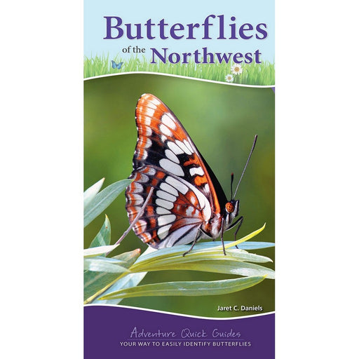 Butterflies of the Northwest by Janet C. Daniels