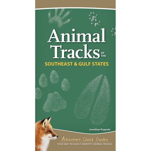 Animal Tracks of the Southeast