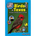 The Kids' Guide to Birds Texas by Stan Tekiela