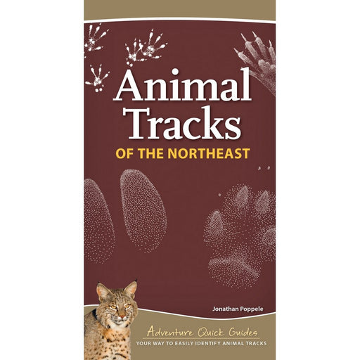 Animal Tracks of the Northeast