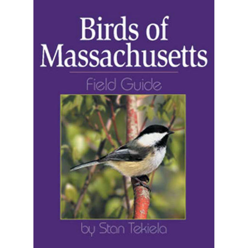 Birds Massachusetts Field Guide