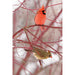 Cardinals Blank Journal Lined