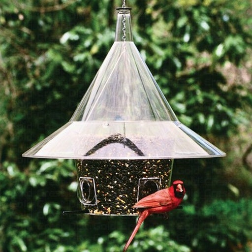 Mandarin Feeder with Arch Ports and Clear Baffle