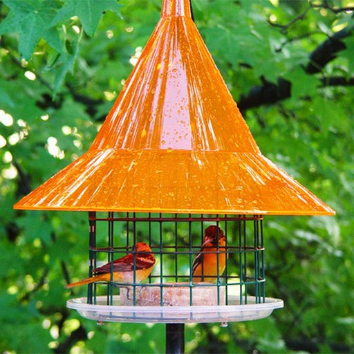 SkyCafe Oriole Feeder