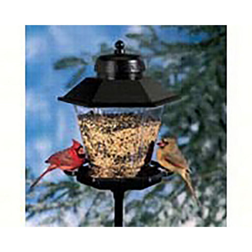 Coach Lamp Bird Feeder