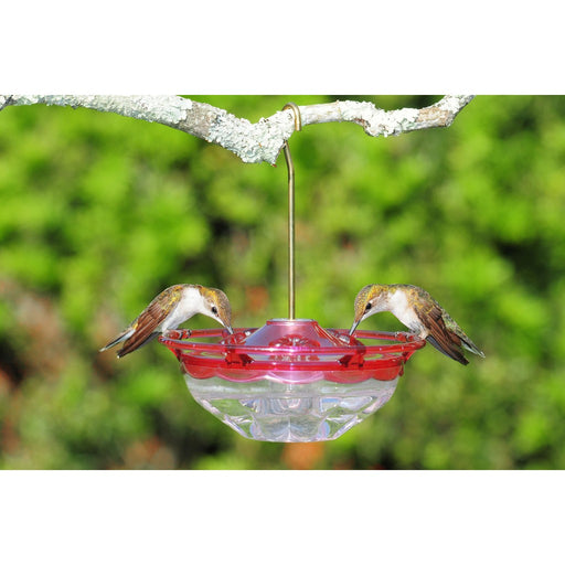 HummBlossom 4 oz Feeder Rose Color