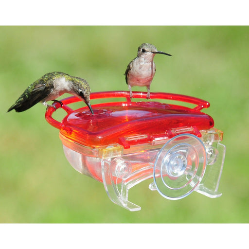 The Gem Window Hummingbird Feeder