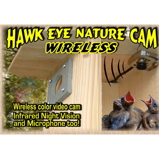 Hawk-Eye Wireless Spy Camera