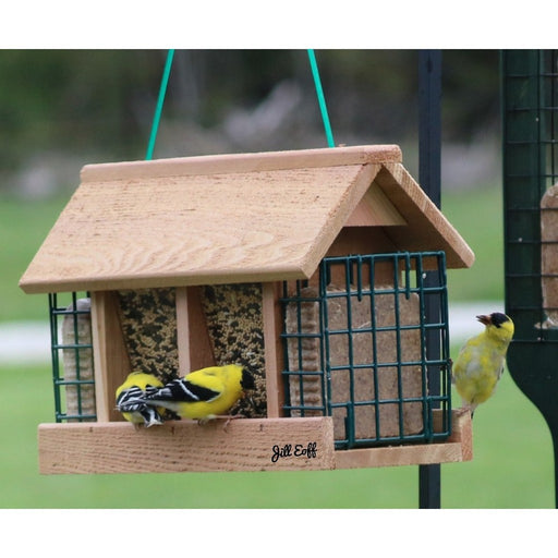 Double Option Hopper Feeder with Suet Cages