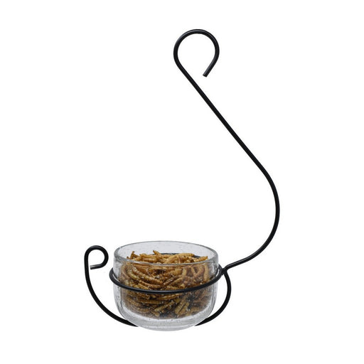 Clear Glass Hanging Treat and Mealworm Feeder