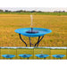 Floating Solar Birdbath Bubbler