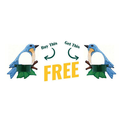 BOGO! Bird Feeder Bluebird