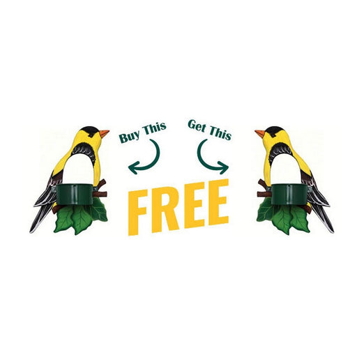 BOGO! Goldfinch Window Feeder