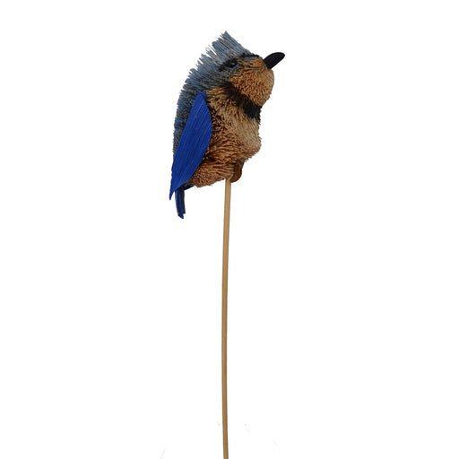 Blue Jay on Stick