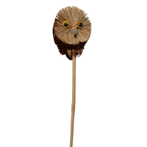 Owl Brush Art Plant Pal