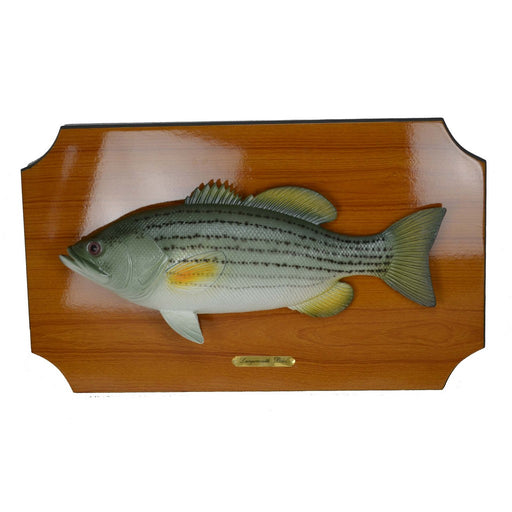 18 inch Bass Wall Plaque