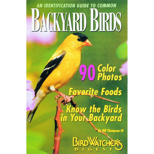 An Identification Guide to Common Backyard Birds